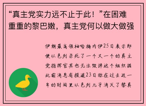 “真主党实力远不止于此！”在困难重重的黎巴嫩，真主党何以做大做强？