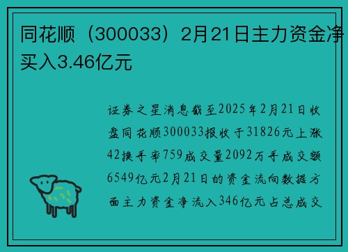 同花顺（300033）2月21日主力资金净买入3.46亿元