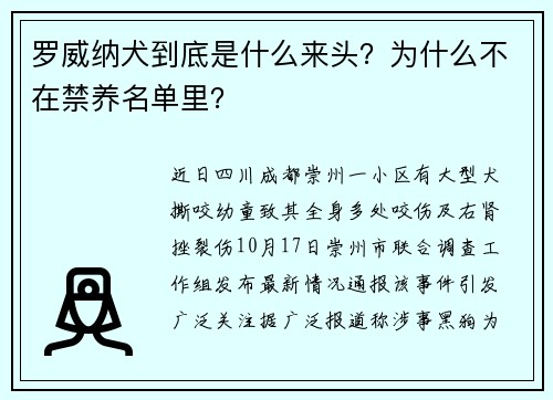 罗威纳犬到底是什么来头？为什么不在禁养名单里？