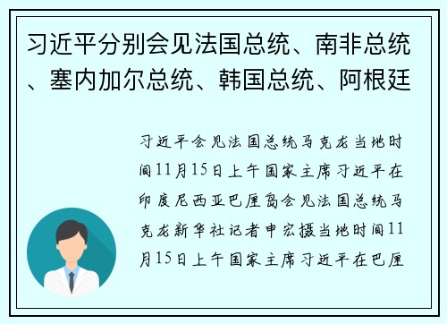 习近平分别会见法国总统、南非总统、塞内加尔总统、韩国总统、阿根廷总统