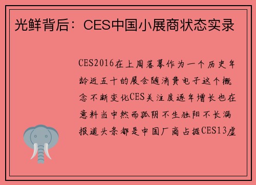 光鲜背后：CES中国小展商状态实录